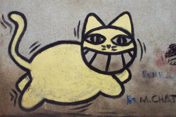 sarah, guilbaud, nantes, streetart, graffiti, Monsieurchat