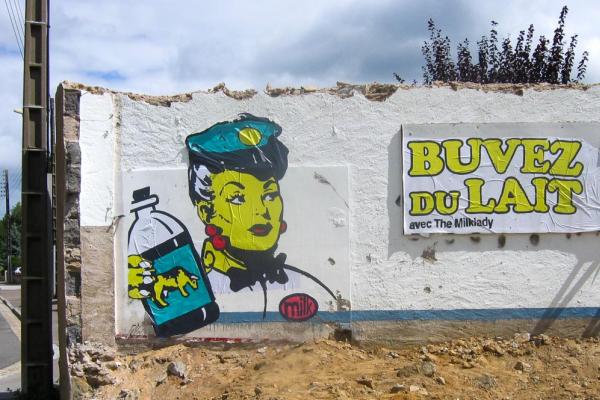 sarah, guilbaud, nantes, streetart, graffiti, Milklady