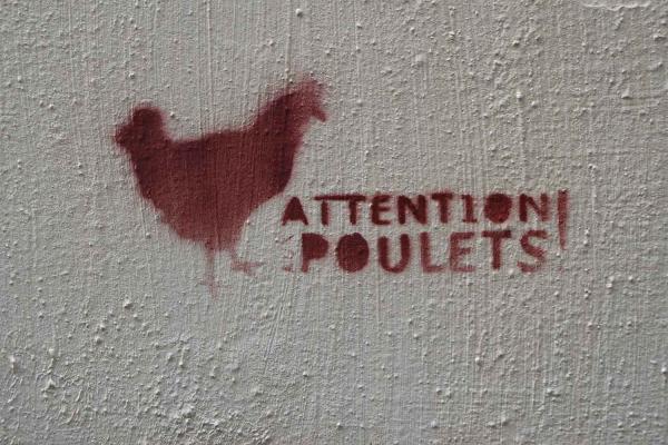 sarah, guilbaud, nantes, streetart, graffiti, pochoirs, politique